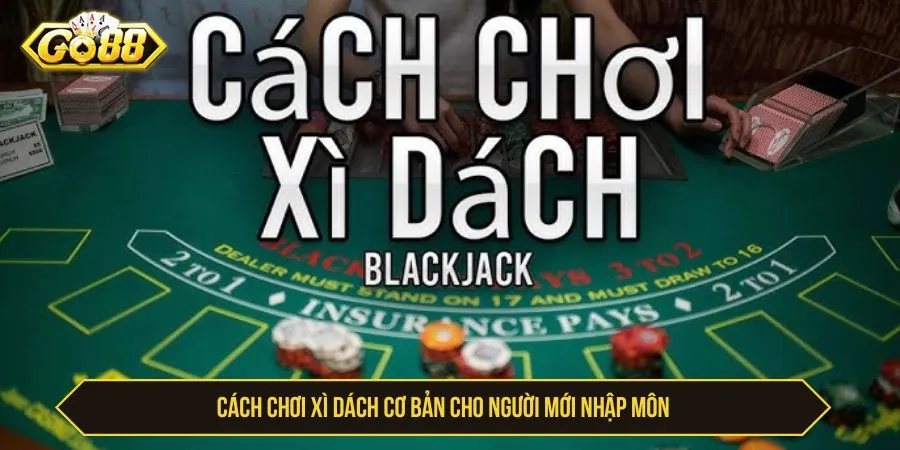 Cách chơi xì dách cơ bản cho người mới