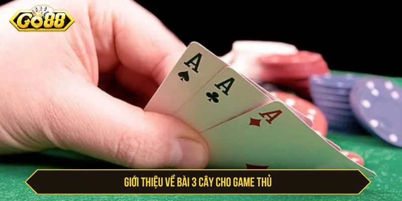 Giới thiệu về bài 3 cây cho người mới